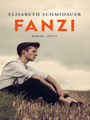 cover image of Fanzi